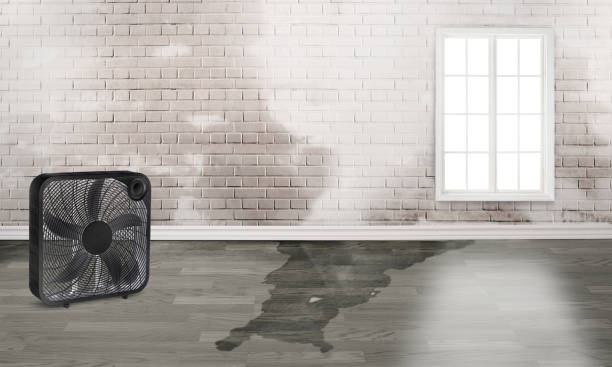 Best 24/7 water damage repair  in San Joaquin, CA