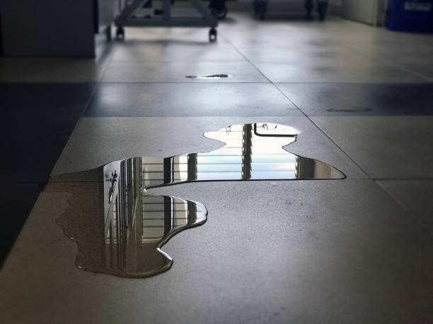 Best Water damage contractors near me  in San Joaquin, CA