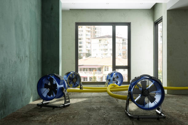 Best Water damage restoration near me  in San Joaquin, CA
