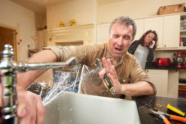Best Mold removal after water damage  in San Joaquin, CA